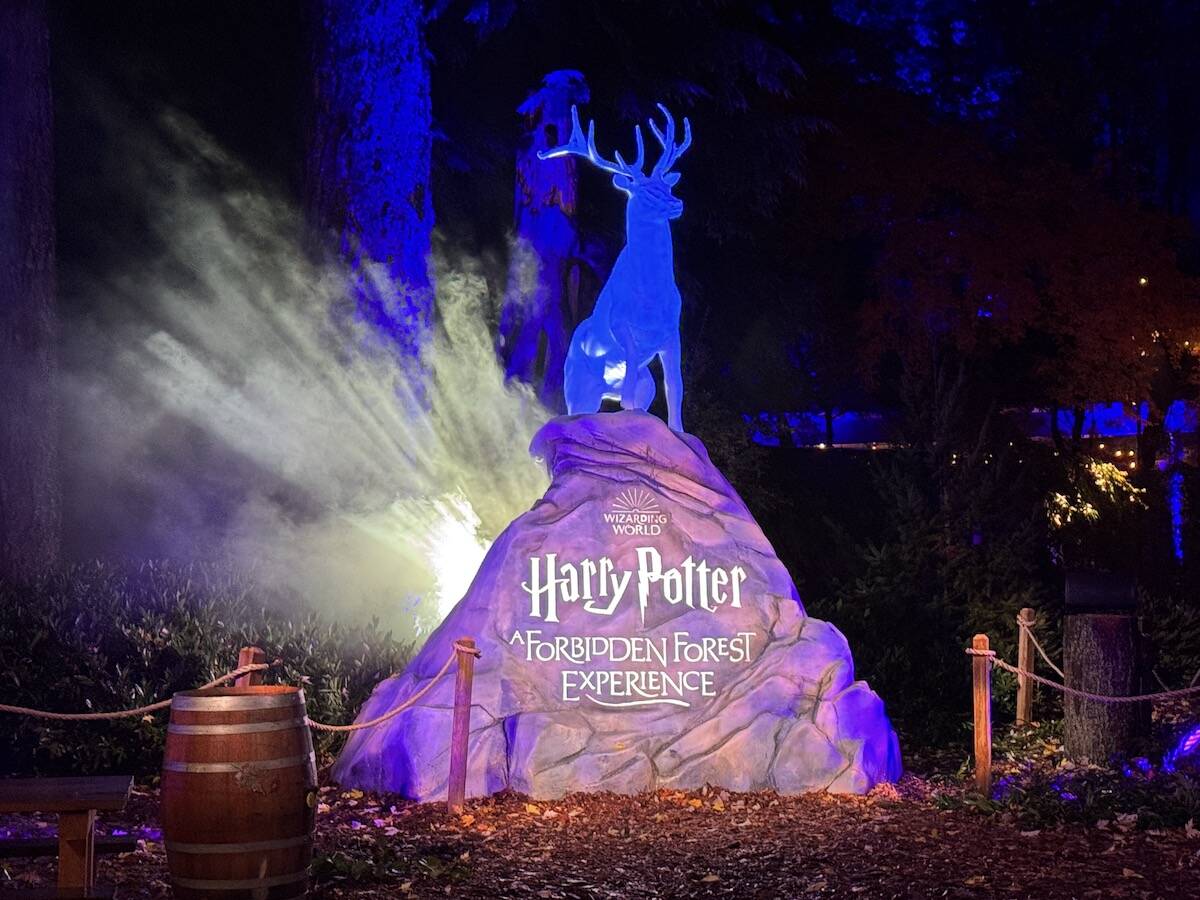 PHOTOS: Inside the new 'Harry Potter' experience in Vancouver